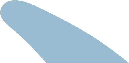 logo wings