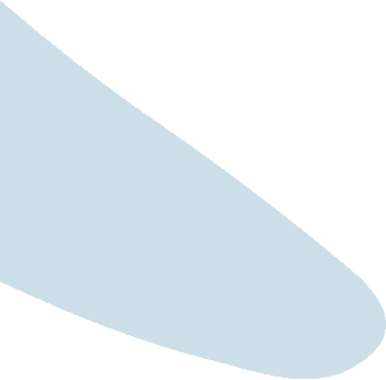 logo wings