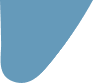 logo wings
