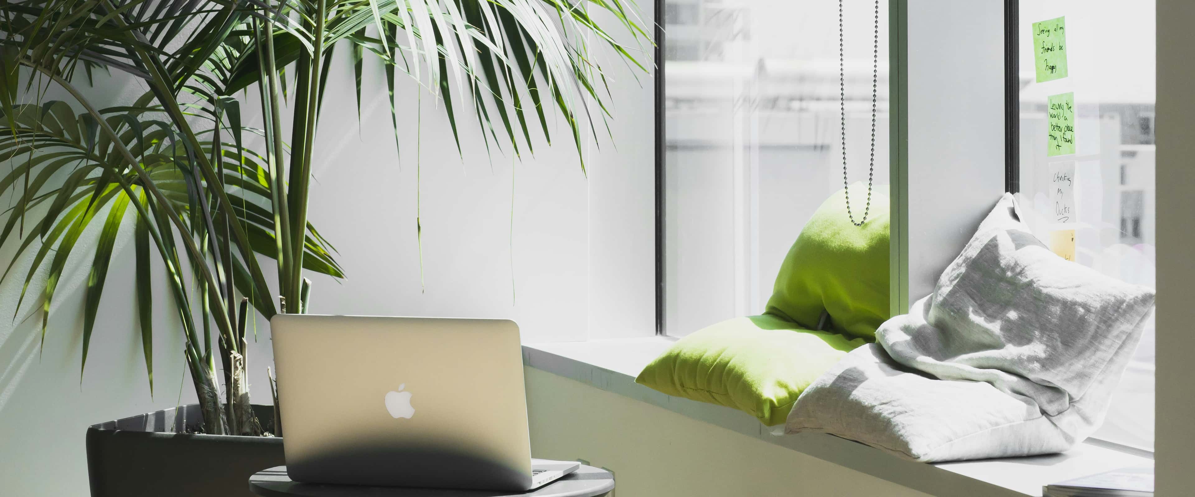 Cozy nook with a laptop on a stool, a large potted plant, and a window seat adorned with green and white cushions.
